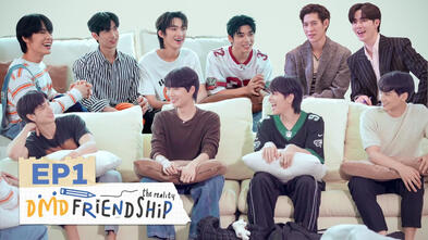 DMD Friendship The Reality